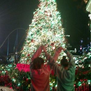 Meet your Posher, Saylor